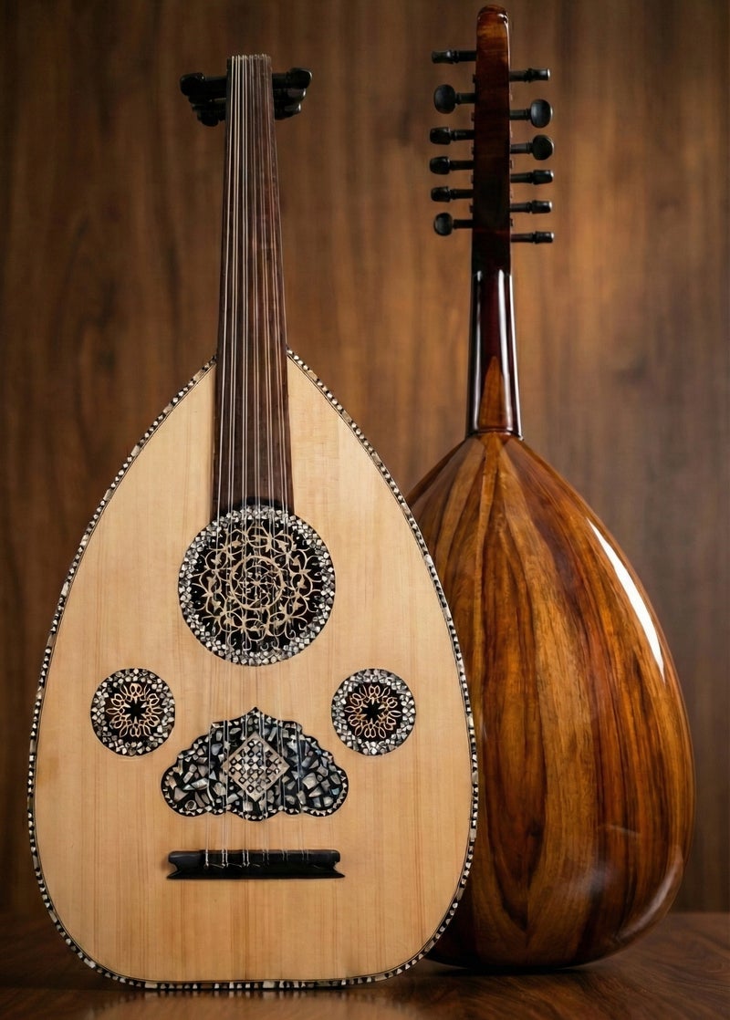 عود موسيقي لوكس فاخر مع حقيبة وريشتي عزف